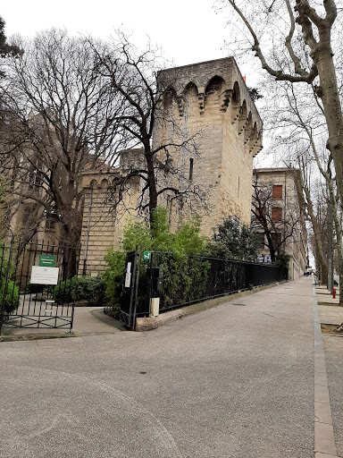 Pine tower square - Visual