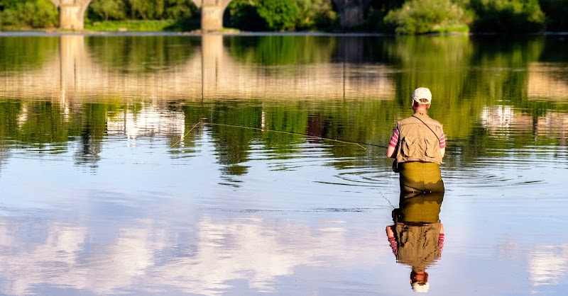 Thames Angling photo 3