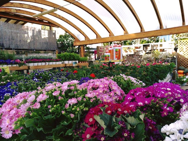 Casla Gardening