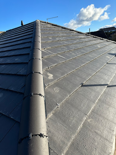 Viper roofing maintenance ltd - Thumbnail