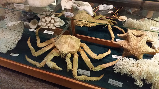 Brazosport Museum of Natural Science - Thumbnail