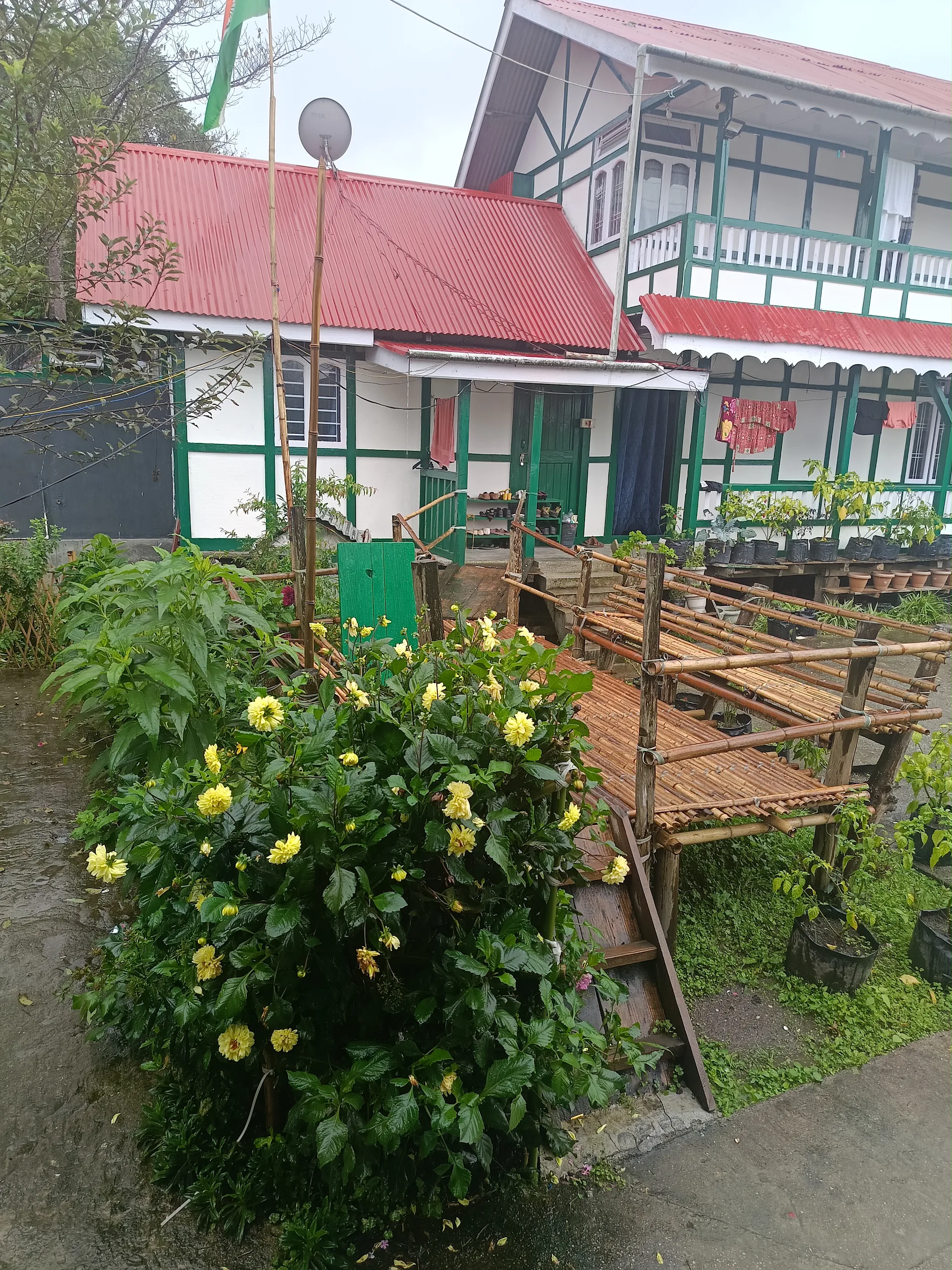 Nehabo home stay