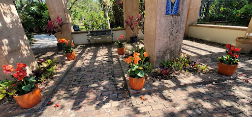 Palm Garden - Visual