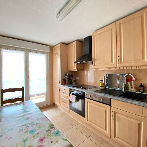 Gael STURTZ Agence Immobilière, Strasbourg - Strasbourg