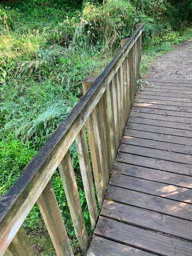 Canyon Walking Track Gallery - Australia