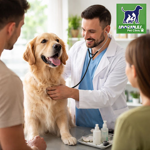 Staying alert to small changes in your pet’s behavior can make a big difference to their long-ter… post image