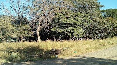 Photos of Los Mangos Park