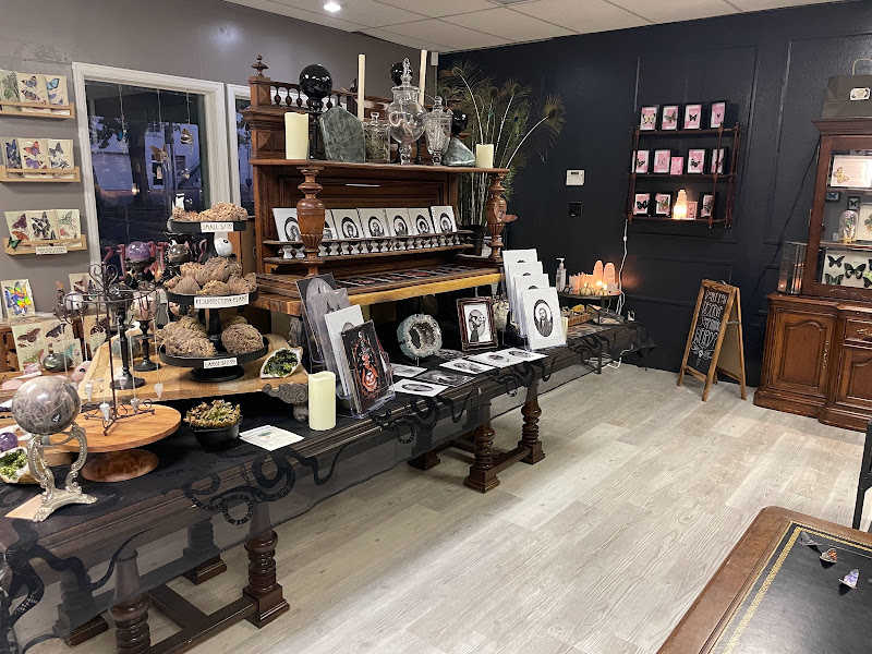Cronk Art and Curiosities - Gift shop in Colorado Springs