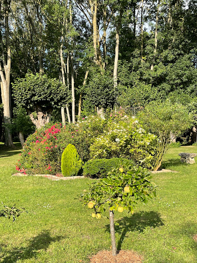 Photo de Le Manoir du Pont de Metz à Pont-de-Metz (80480)