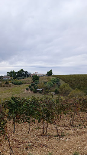 Villa De Vecchis - Visual