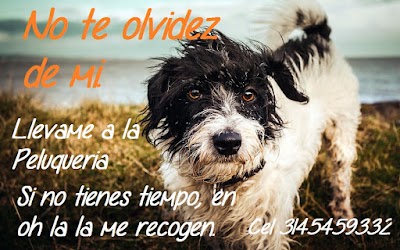 Photos of oh la la veterinaria