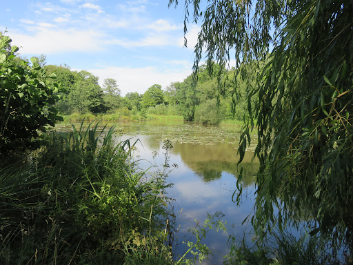 Herstmonceux Castle Grounds - Thumbnail