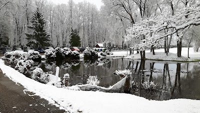 Photos of Ogmina