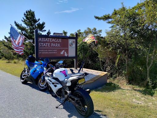 Assateague State Park Youth Group Campsites - Thumbnail
