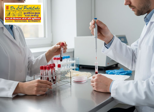 Knowing how your blood sample is handled can give you more confidence in your test results. At Dr…