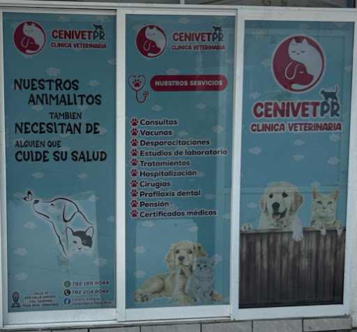 Centro Integral Veterinario Poza Rica