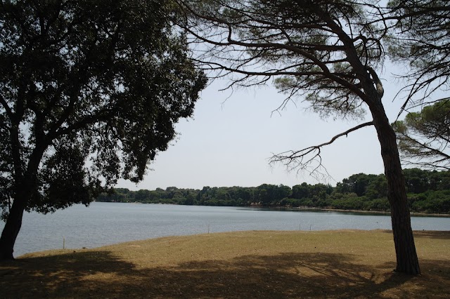 Old Golf Course Brioni