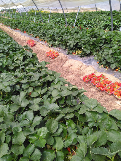Ferme de la Beguère Produits Régionaux