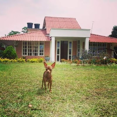 Photos of Finca El Olvido