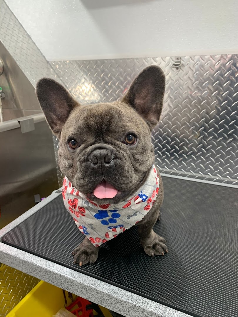 Mobile Pet Grooming Sunrise
