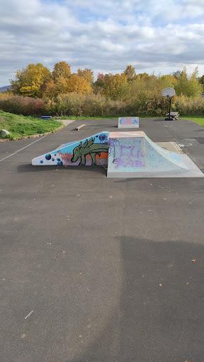 Skatepark Bürgerpark - Visual