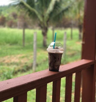 Photos of Sanctuary Ice Cream