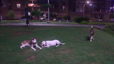 Photos of Parque Paseo de la Castellana