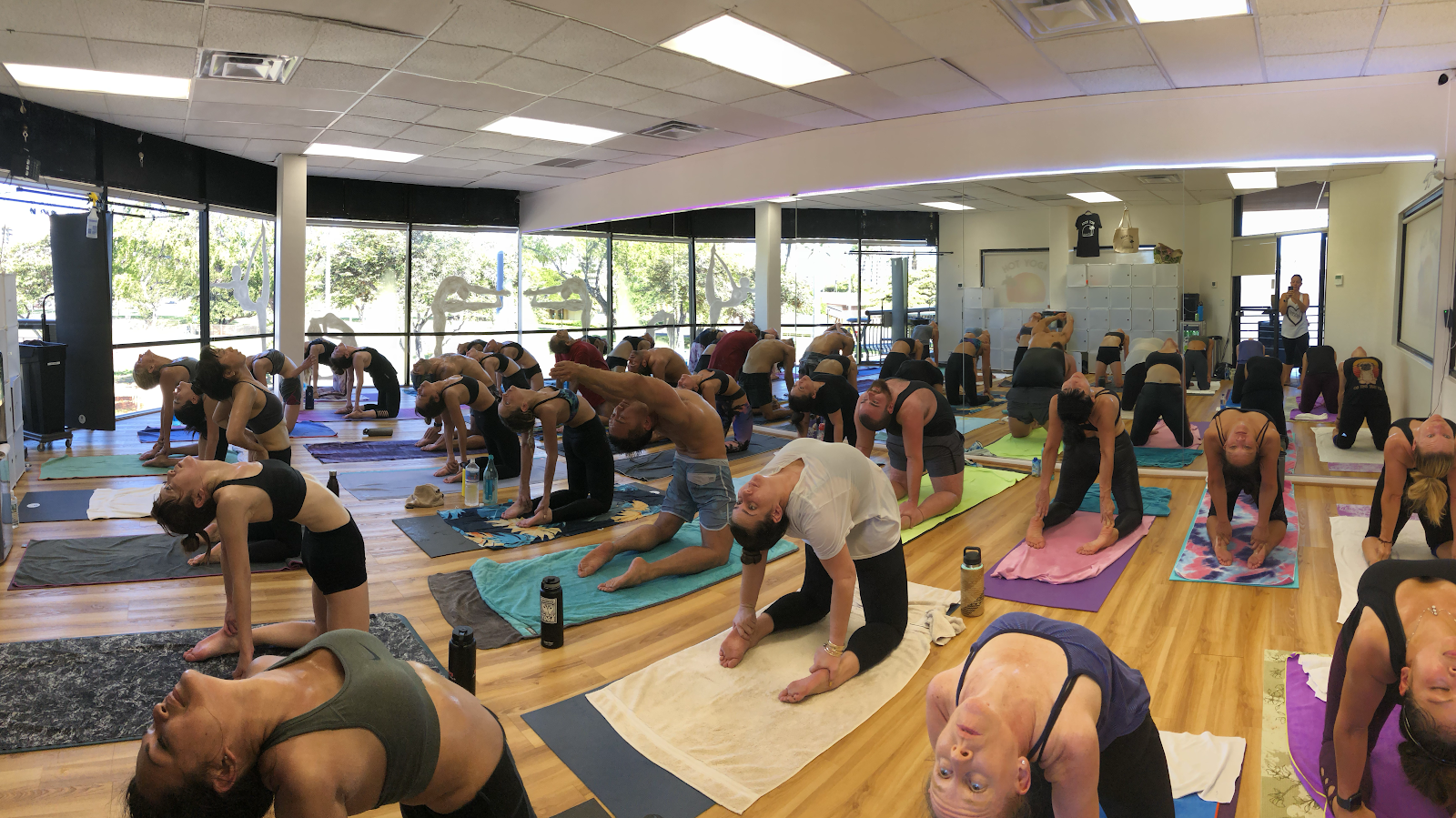 Red Hot Yoga Honolulu Blog Dandk