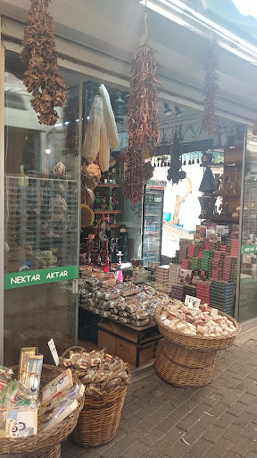 NEKTAR AKTAR