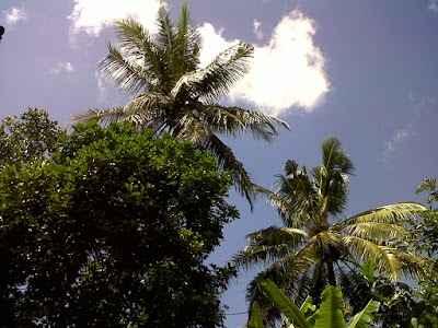 Photos of Lapangan Desa Srikandang