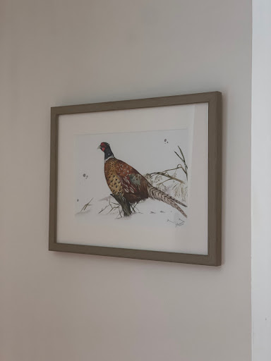 Stoneway Gallery - Visual