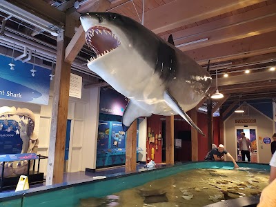 The Maritime Aquarium at Norwalk