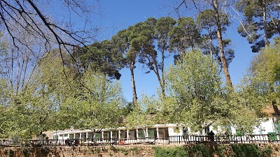 Photos of حديقة القناطر الخيرية