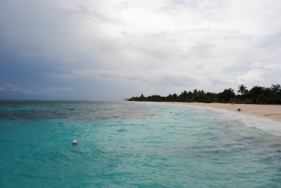 Photos of Wave bar