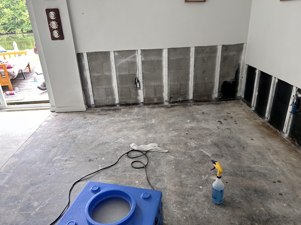 Mold Removal Masters, LLC photo