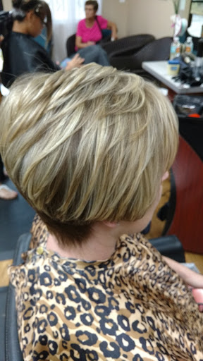 Penny's Cuts Gallery - United States