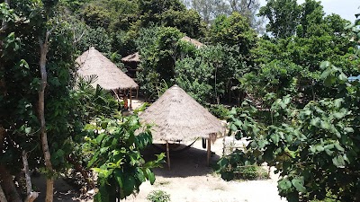 Photos of Kactus