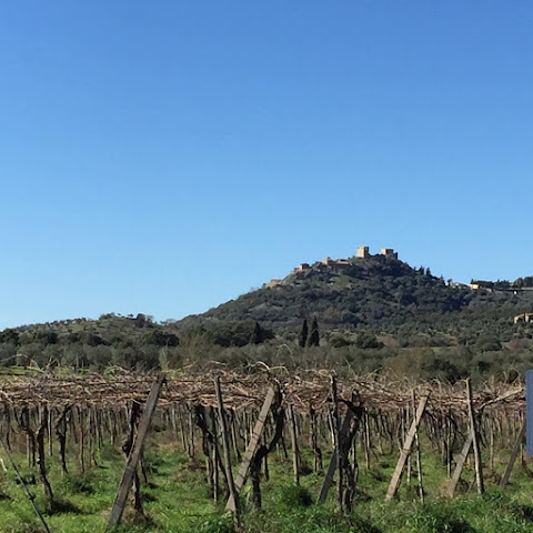 Pieve di Caminino Historic Farm - Agriturismo by null