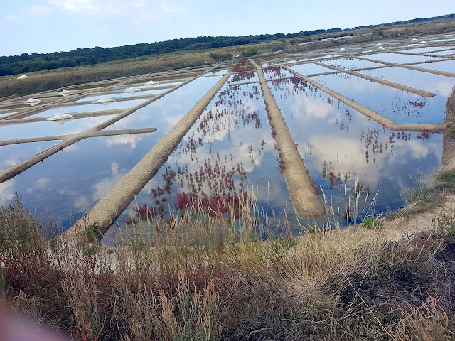 LE MULON DE PEN BRON Philippe CONSTANT