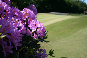 Photo n°19 de Golf de Cherbourg-en-Cotentin à Cherbourg-en-Cotentin (Restaurant)