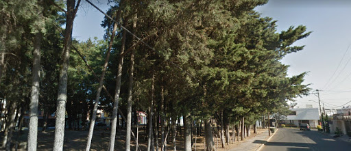 JARDIN PROFR. LUIS CAMARENA GONZALEZ