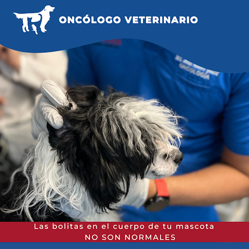 Oncólogo Veterinario en Monterrey - La Rioja Animal Hospital - Oncología Veterinaria | Oncólogo Veterinario