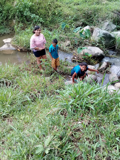 Jardin de Niños Jorge Camacho
