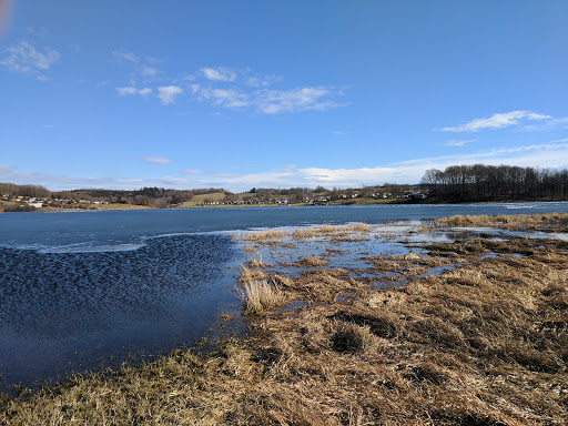 Liegewiese - Visual