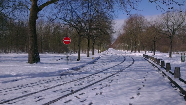 Plaine de Jeux du Polygone