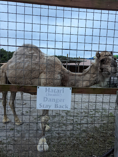 Safari Outdoor Adventure Park - Thumbnail