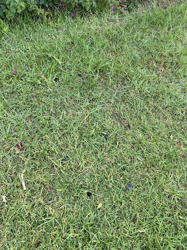 post-image-2