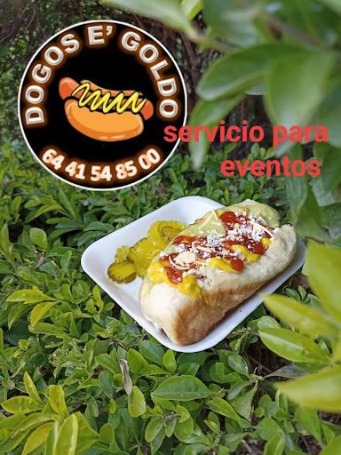 Dogos e'goldo