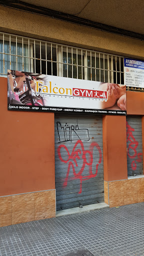 Falcongym - Visual