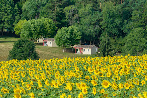 Photo n°5 de La Forêt Enchantée à Cornille (Complexe sportif)